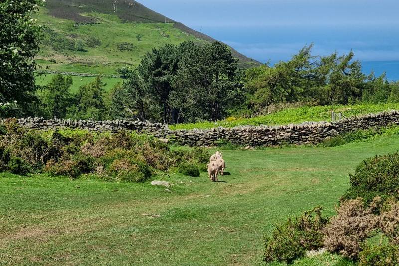 Landscape shot on the Tal Y Fan walking trail in North Wales